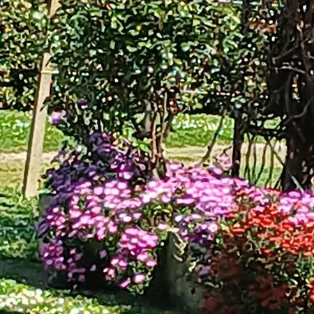 Azienda Il Tizzano Albinia Exterior foto